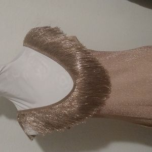 Metallic Fringe Dress